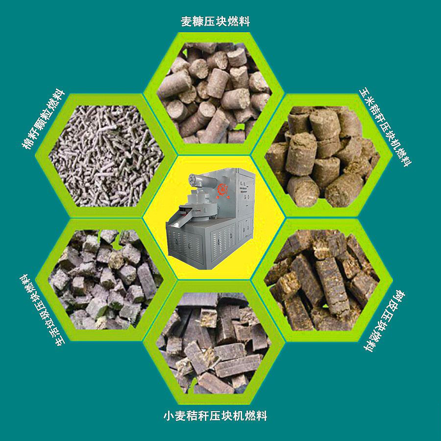 國家政策扶持，你有理由不投資生物質能源嗎？