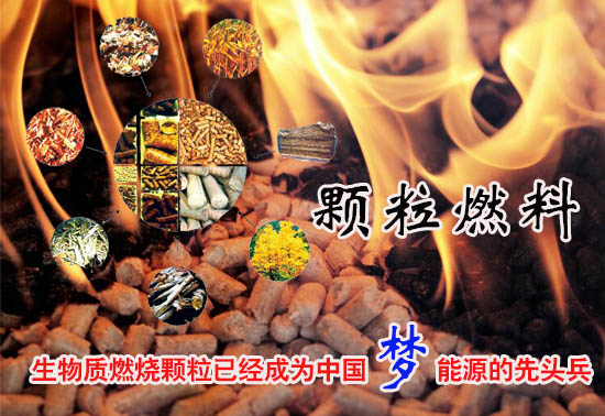 生物質(zhì)燃料顆粒多少錢一噸！