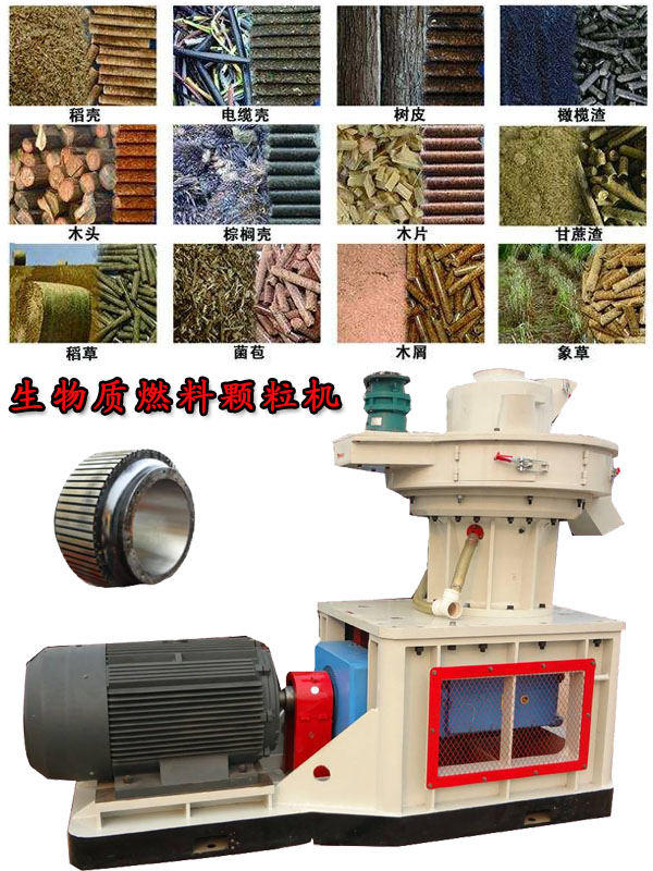 國內(nèi)外生物質(zhì)燃料顆粒機應(yīng)用現(xiàn)狀的疑問！