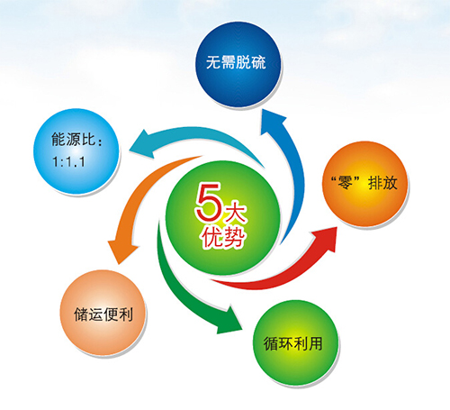 多功能生物質(zhì)燃料顆粒機(jī)性能有哪些？